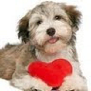 Meet your Posher, Carolyn